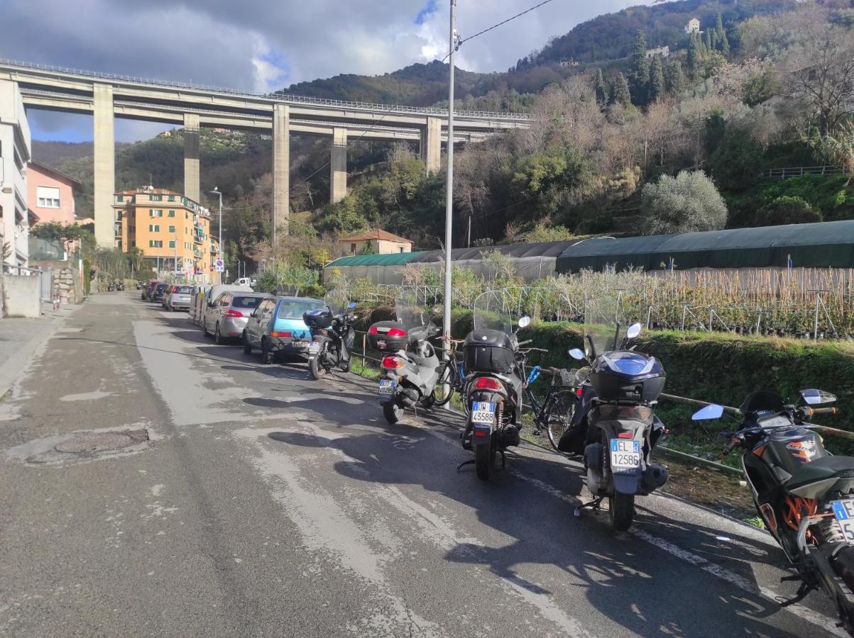 Camera Privata Nell'Appartamento In Zona Residenziale Con 2 Piscine Rapallo Eksteriør bilde