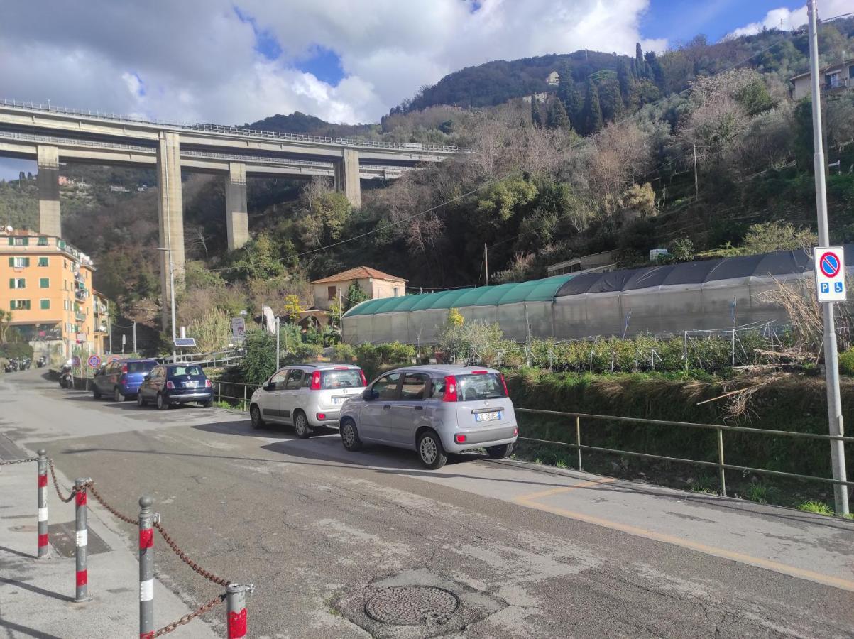 Camera Privata Nell'Appartamento In Zona Residenziale Con 2 Piscine Rapallo Eksteriør bilde